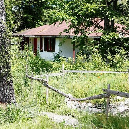 Villa Ferien- & Freizeitpark Grafenhausen Exterior foto